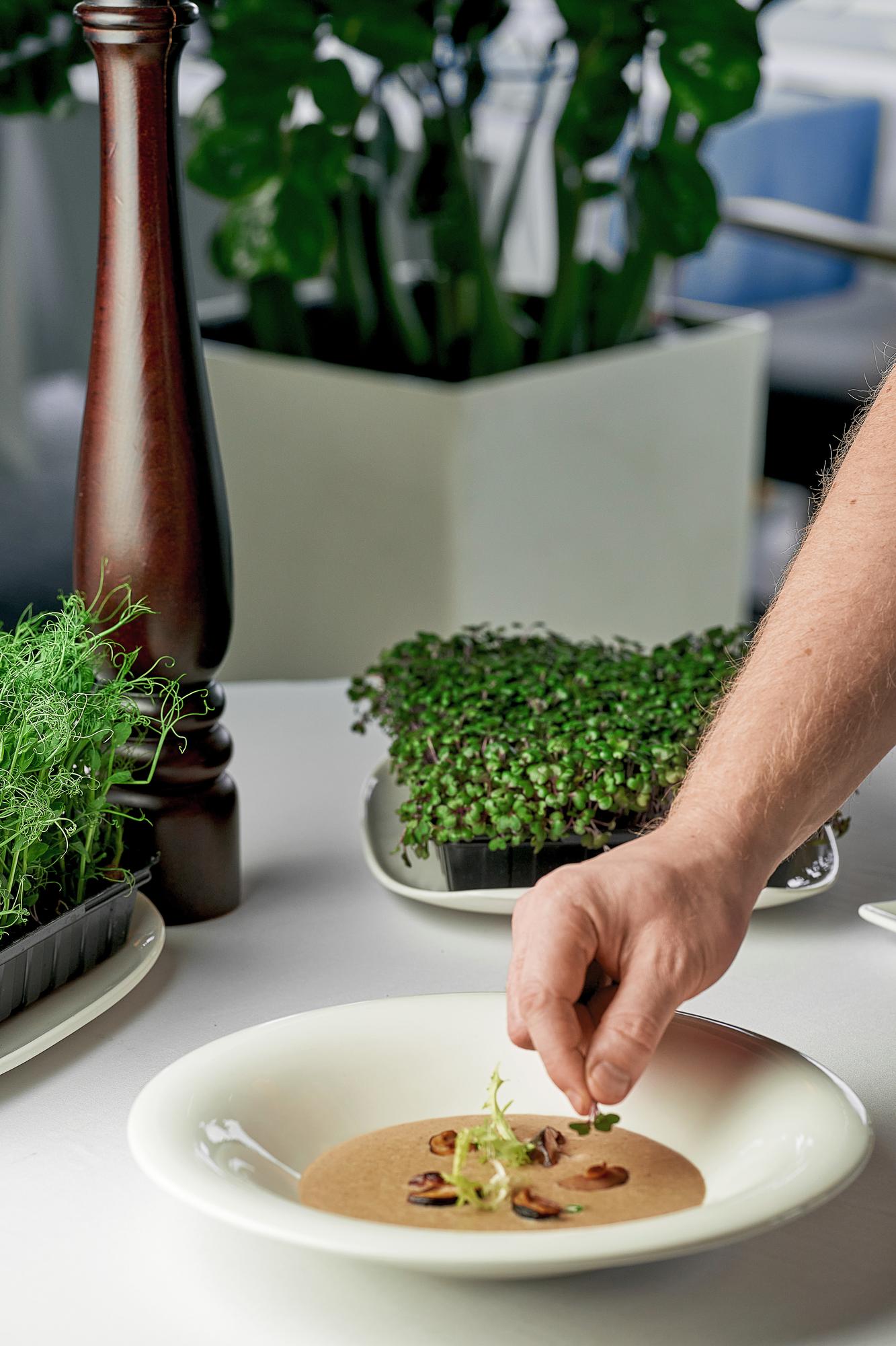 Plating detail: modern plating with microgreens